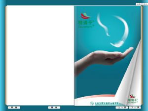电子翻书 明创视点